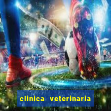 clinica veterinaria cuidar betim